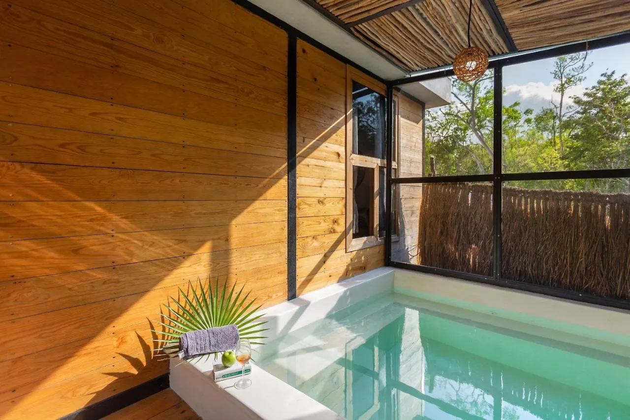 Tulum Jungle Cabins With Plunge Pool 度假居