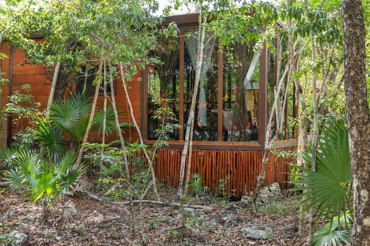 度假居 Tulum Jungle Cabins With Plunge Pool